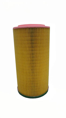 AF27955 Air Filter