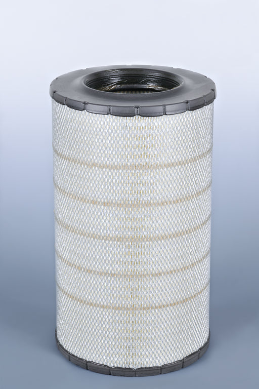 AF25313 Air Filter