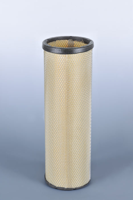 AF25439 Air Filter