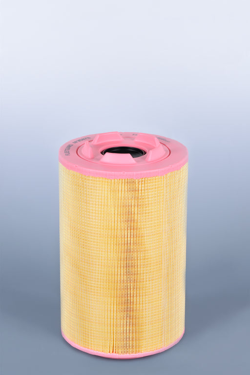 AF25876 Air Filter