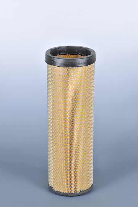 AF25969 Air Filter