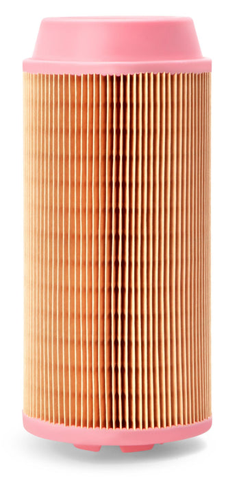 AF26387 Air Filter