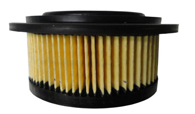 AF27971 Air Filter