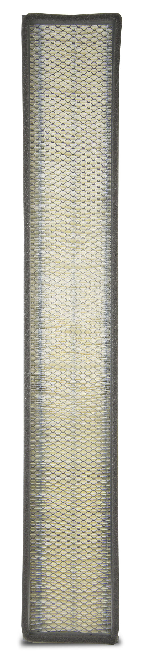 AF55784 Air Filter