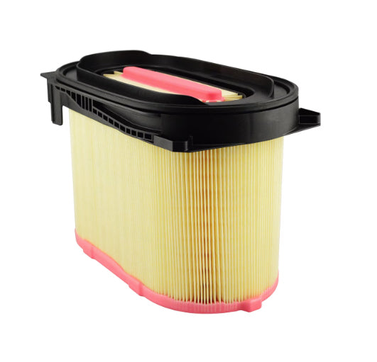 PA5289 Air Filter